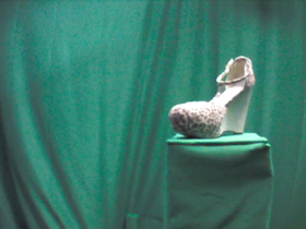 90 Degrees _ Picture 9 _ Leopard Print Wedge Heel.png